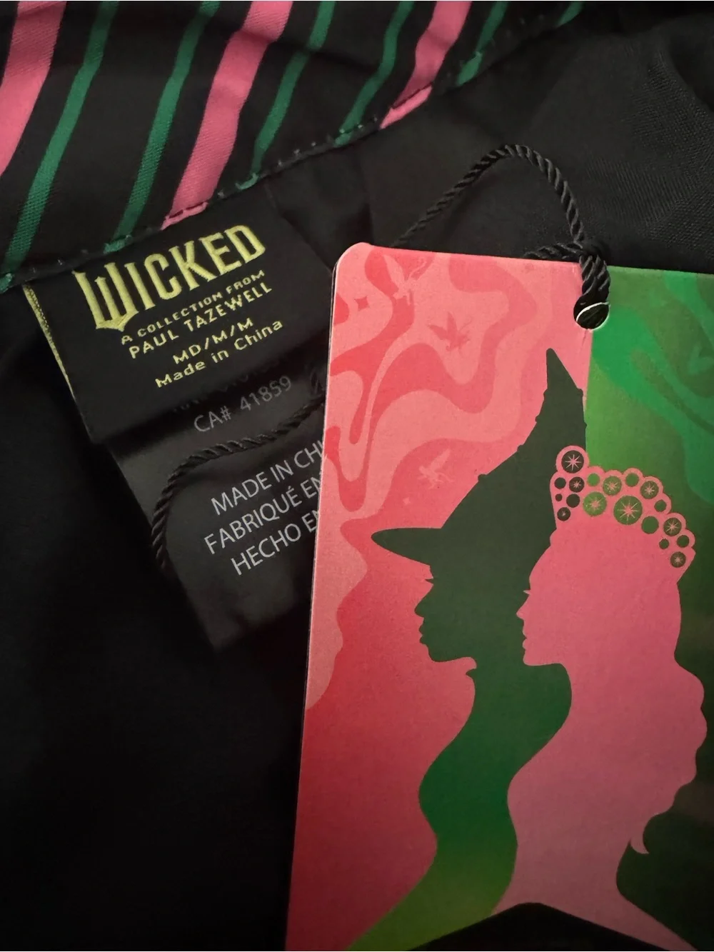 Wicked x Target Elphaba Sweater & Bubble Skirt Set NWT M  NEW WITH TAGS 💚🩷